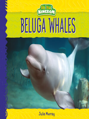 cover image of Beluga Whales